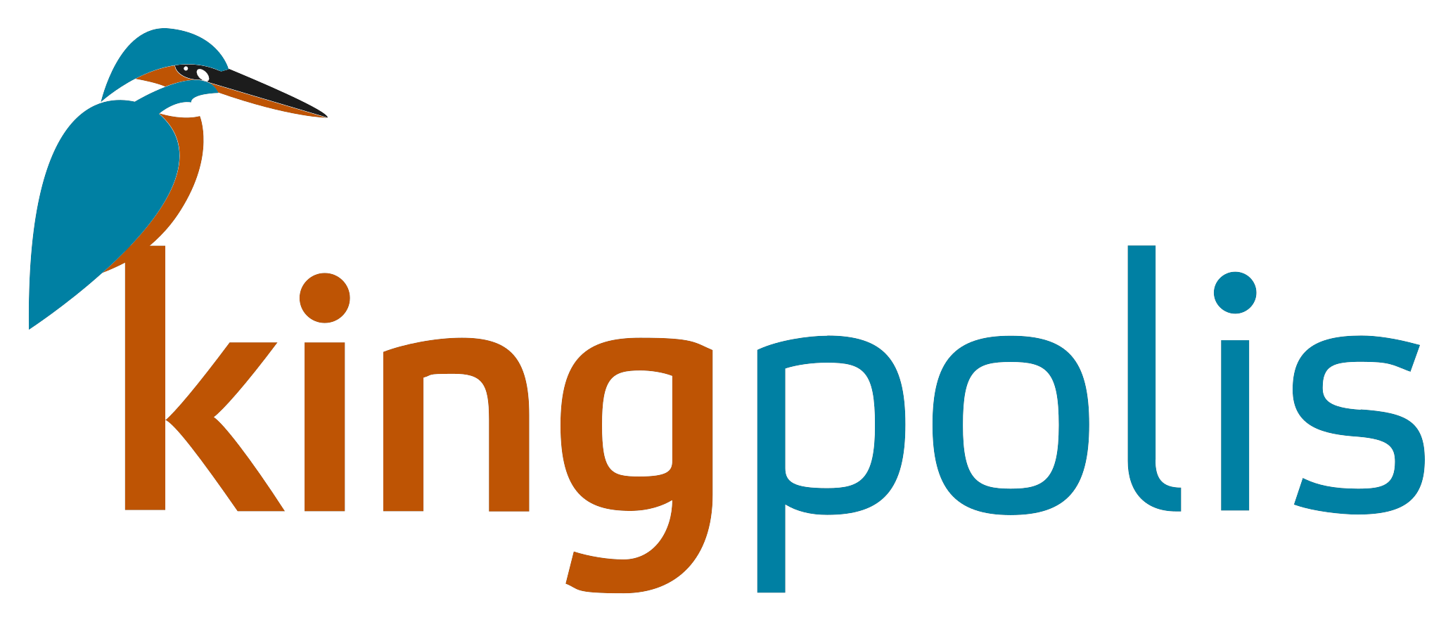 Kingpolis fietsverzekering